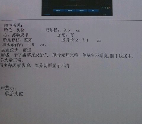 journal_insert_pic_238560221