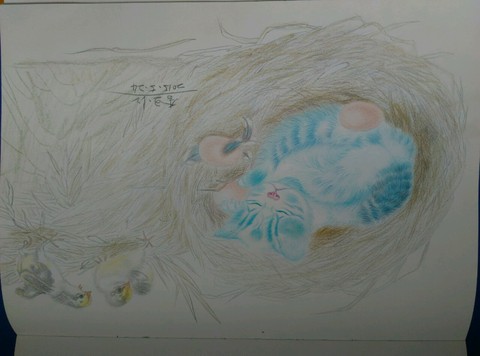 journal_insert_pic_239094644