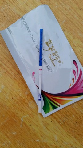 journal_insert_pic_239185378