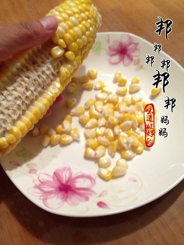 journal_insert_pic_239552601