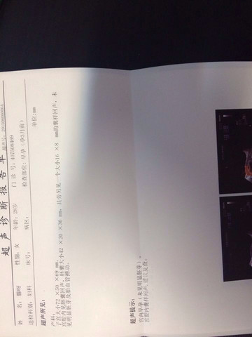 journal_insert_pic_239760127