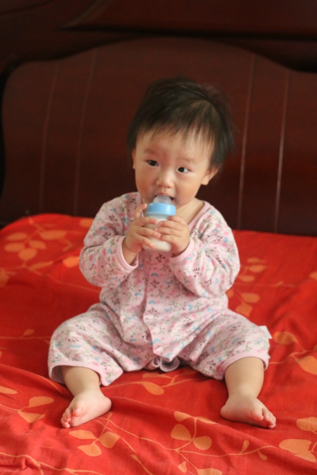 journal_insert_pic_239589514