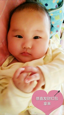journal_insert_pic_240322747