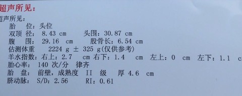journal_insert_pic_240027937