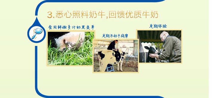 journal_insert_pic_240725546