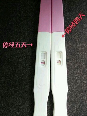 journal_insert_pic_241408131