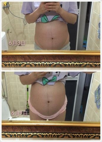 journal_insert_pic_242342200
