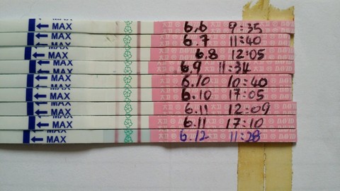 journal_insert_pic_242535591