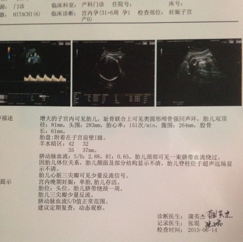 journal_insert_pic_243466895