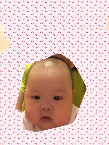 journal_insert_pic_244208525
