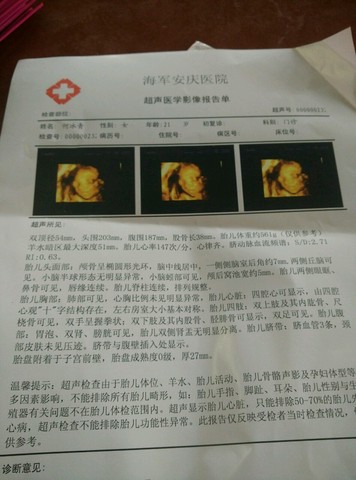 journal_insert_pic_244047324