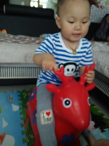 journal_insert_pic_244072938