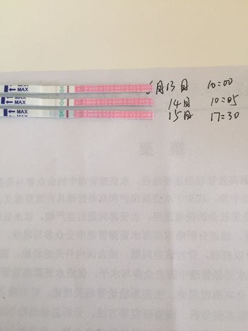 姐妹们帮我看看测的排卵什么情况啊 宝宝树