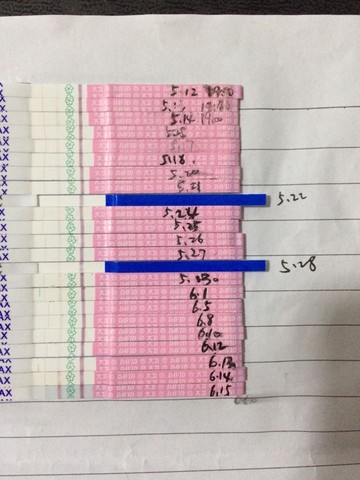 journal_insert_pic_244147912
