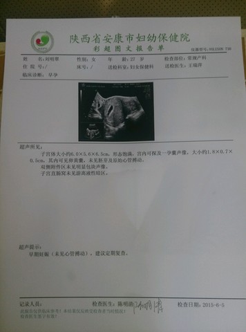 journal_insert_pic_244005033