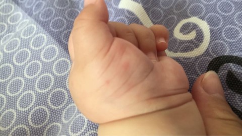 journal_insert_pic_244314854