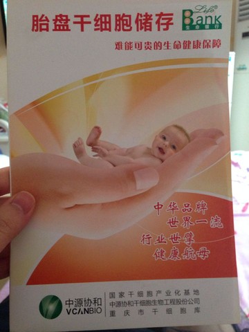 journal_insert_pic_244528251