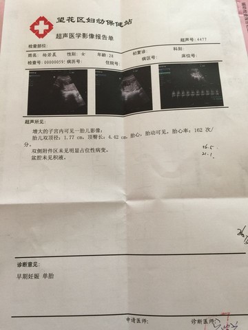 journal_insert_pic_244439721