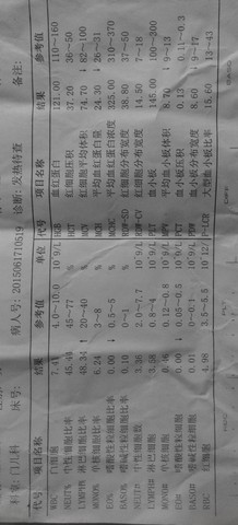 journal_insert_pic_244873178