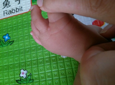 journal_insert_pic_245148020