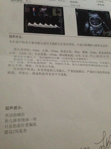 journal_insert_pic_245148457