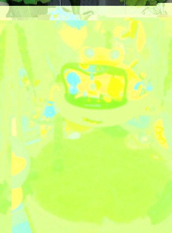 journal_insert_pic_246937352