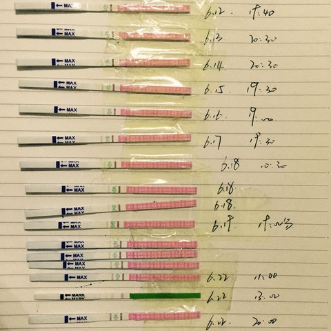 journal_insert_pic_247333548