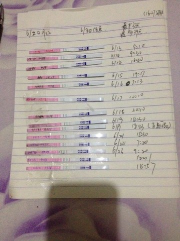 journal_insert_pic_247740503