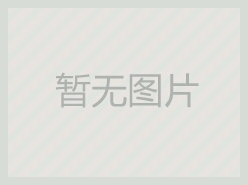 journal_insert_pic_247407217