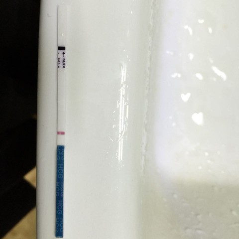 journal_insert_pic_247527410
