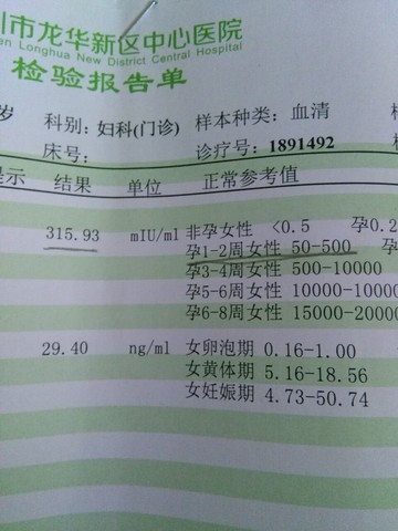 journal_insert_pic_247535095