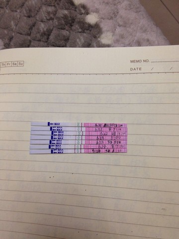 journal_insert_pic_248147632