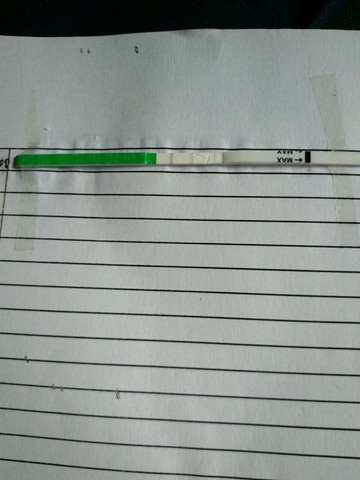 journal_insert_pic_248351044