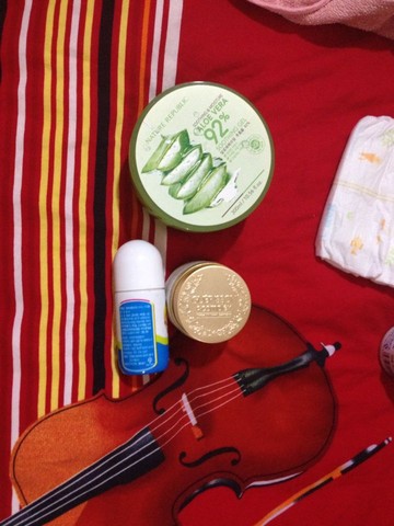 journal_insert_pic_248807024