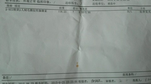 journal_insert_pic_249068033