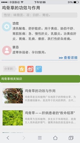 journal_insert_pic_249574500