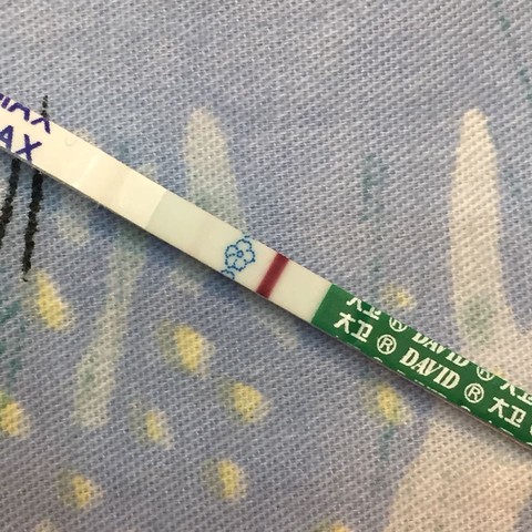 journal_insert_pic_249997473