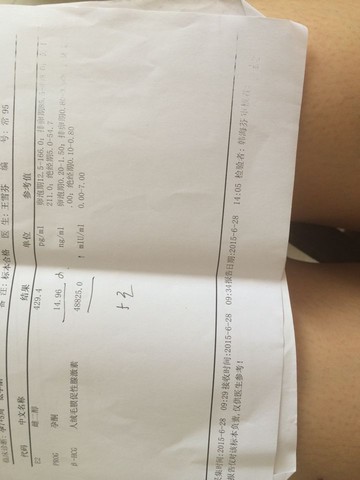 journal_insert_pic_250212774