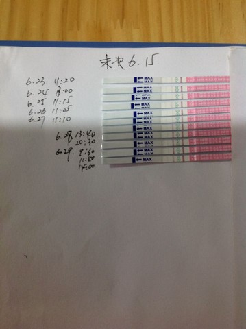 journal_insert_pic_250309531