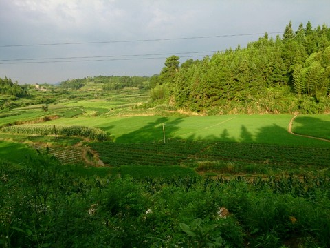 journal_insert_pic_250441743