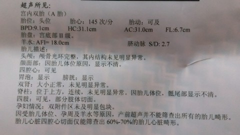journal_insert_pic_250760384