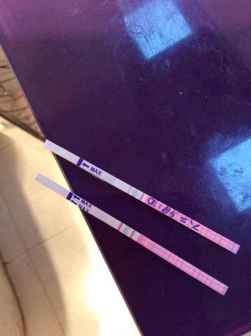 journal_insert_pic_251358637