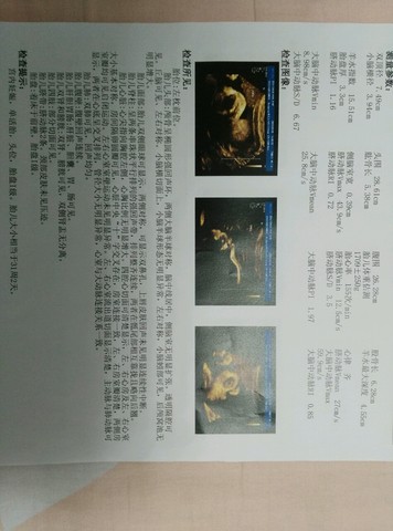 journal_insert_pic_251761193