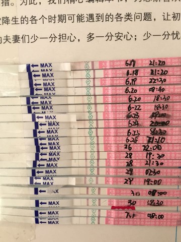journal_insert_pic_252065986