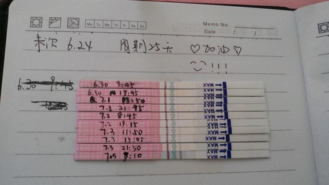 journal_insert_pic_252023436