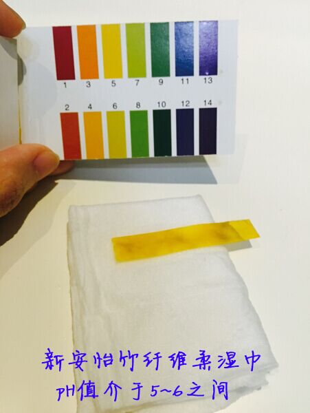 journal_insert_pic_253266070