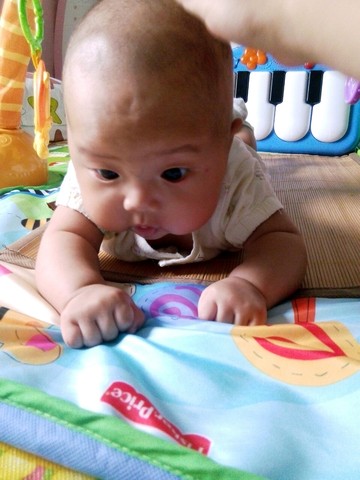journal_insert_pic_254440958