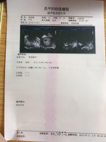journal_insert_pic_255224918