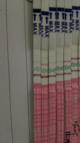 journal_insert_pic_255358282