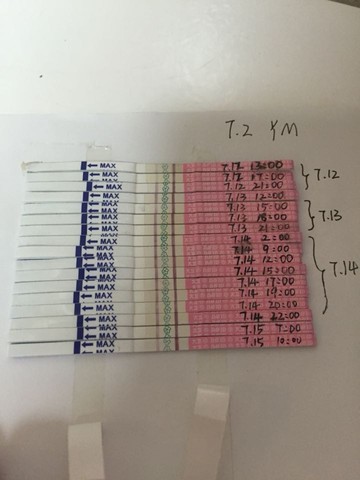 journal_insert_pic_256517423